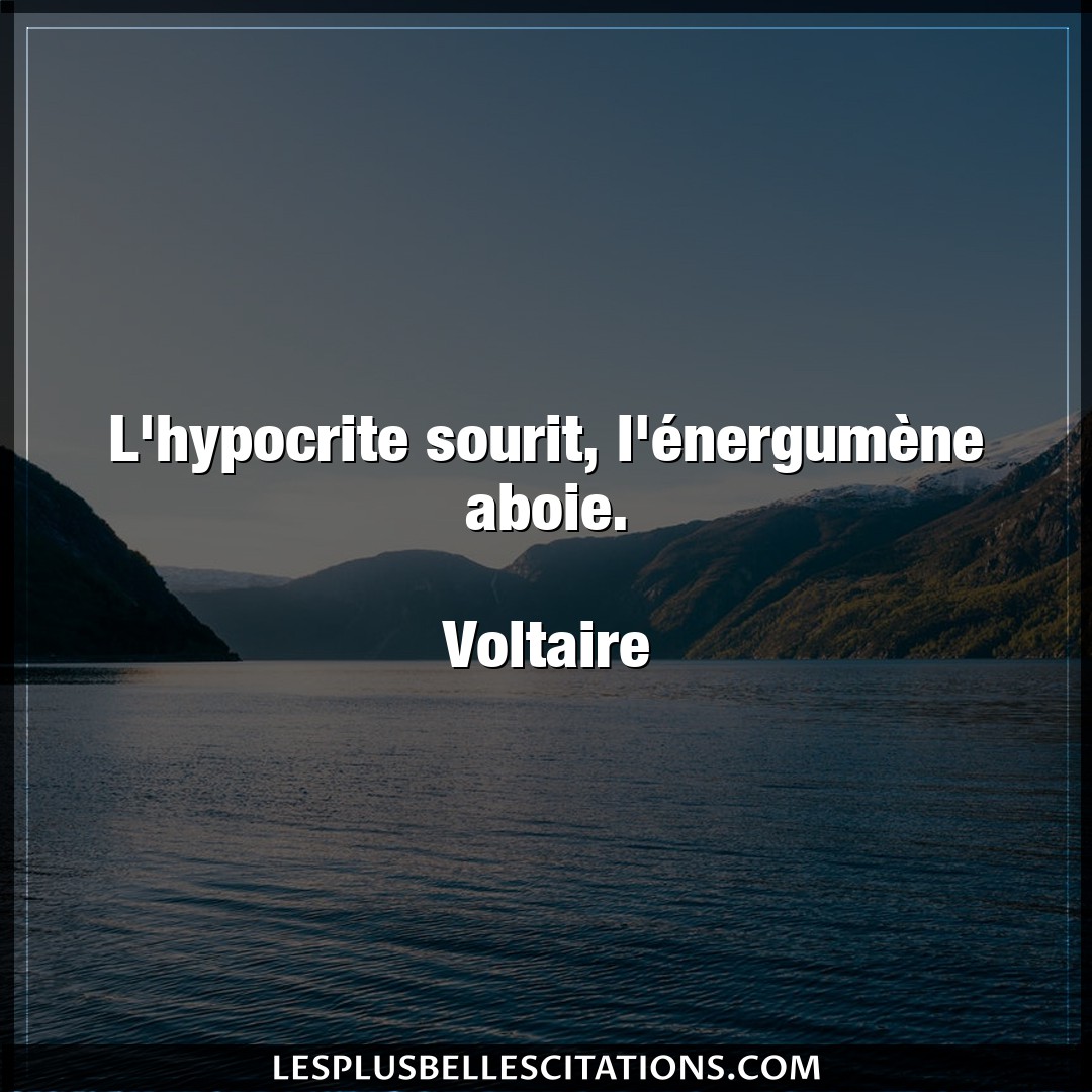Citation Voltaire Citations L Hypocrite Sourit L Energumene Aboie