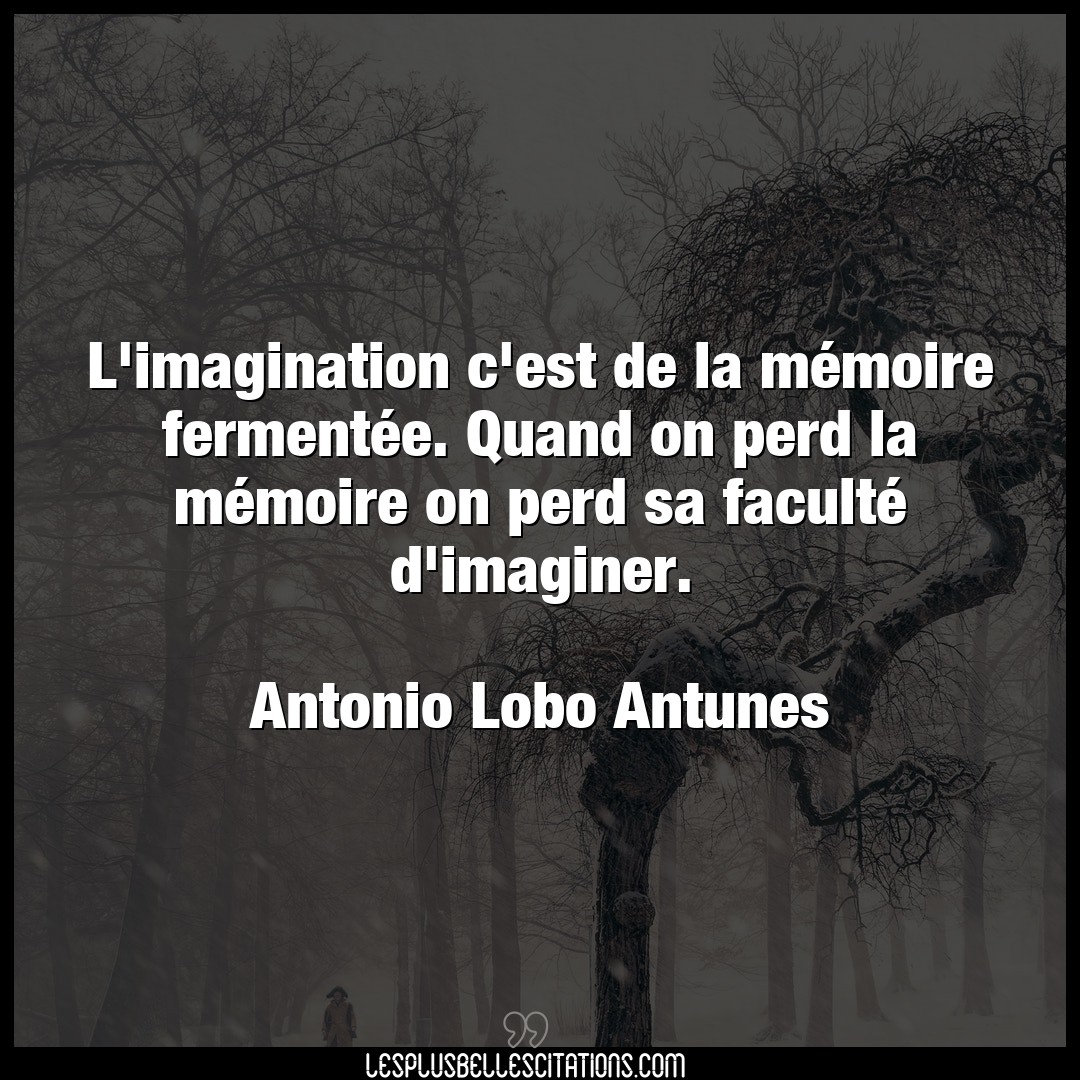 L’imagination c’est de la mémoire fermentée