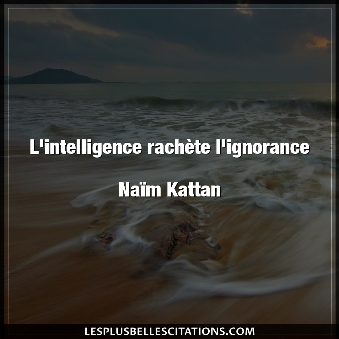 L’intelligence rachète l’ignorance

Naïm
