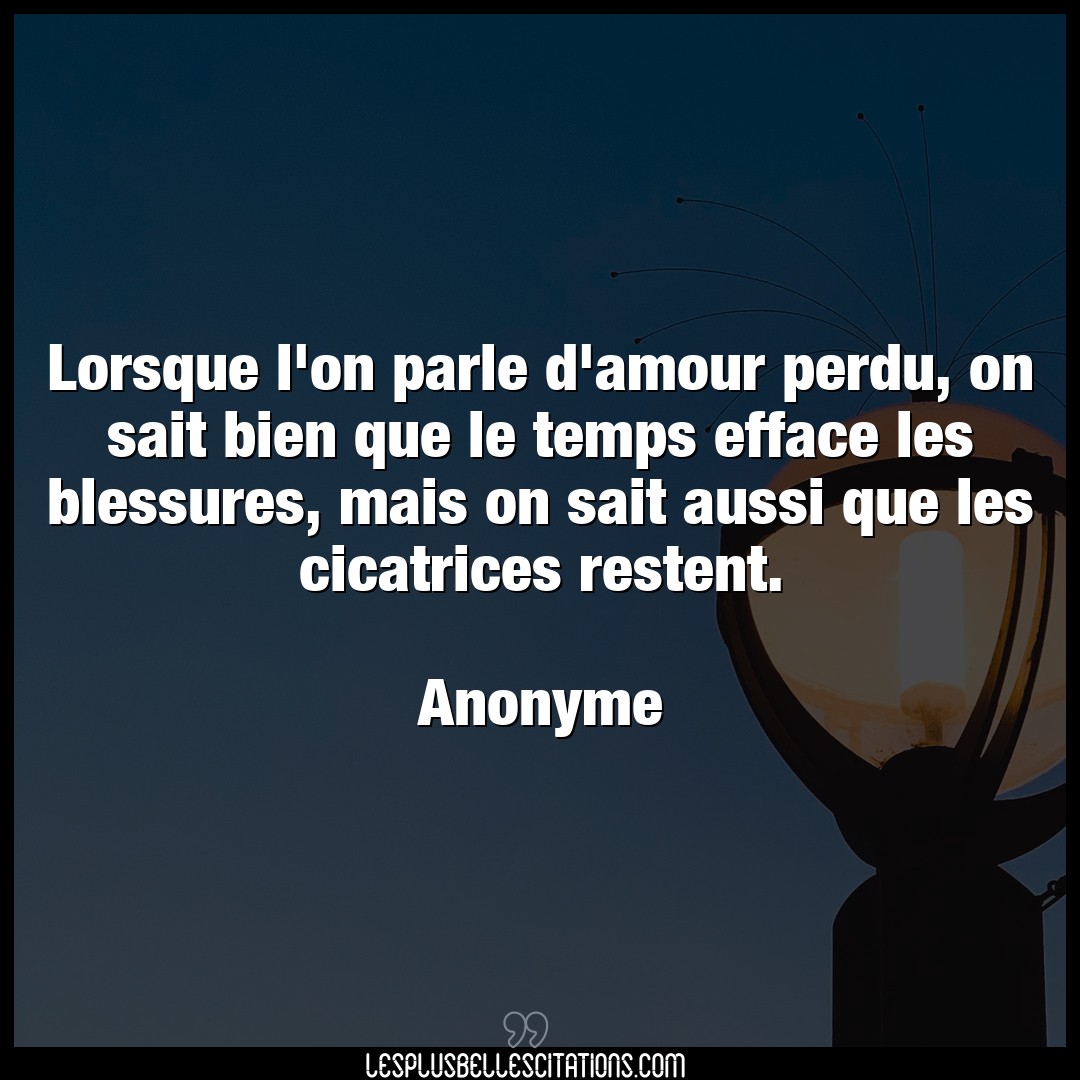 Citation Anonyme Amour Lorsque L On Parle D Amour Perdu On Sait Bie