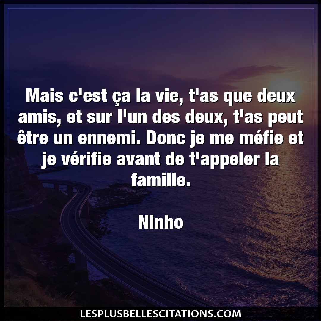 Citation Ninho Amis Mais C Est Ca La Vie T As Que Deux Amis Et