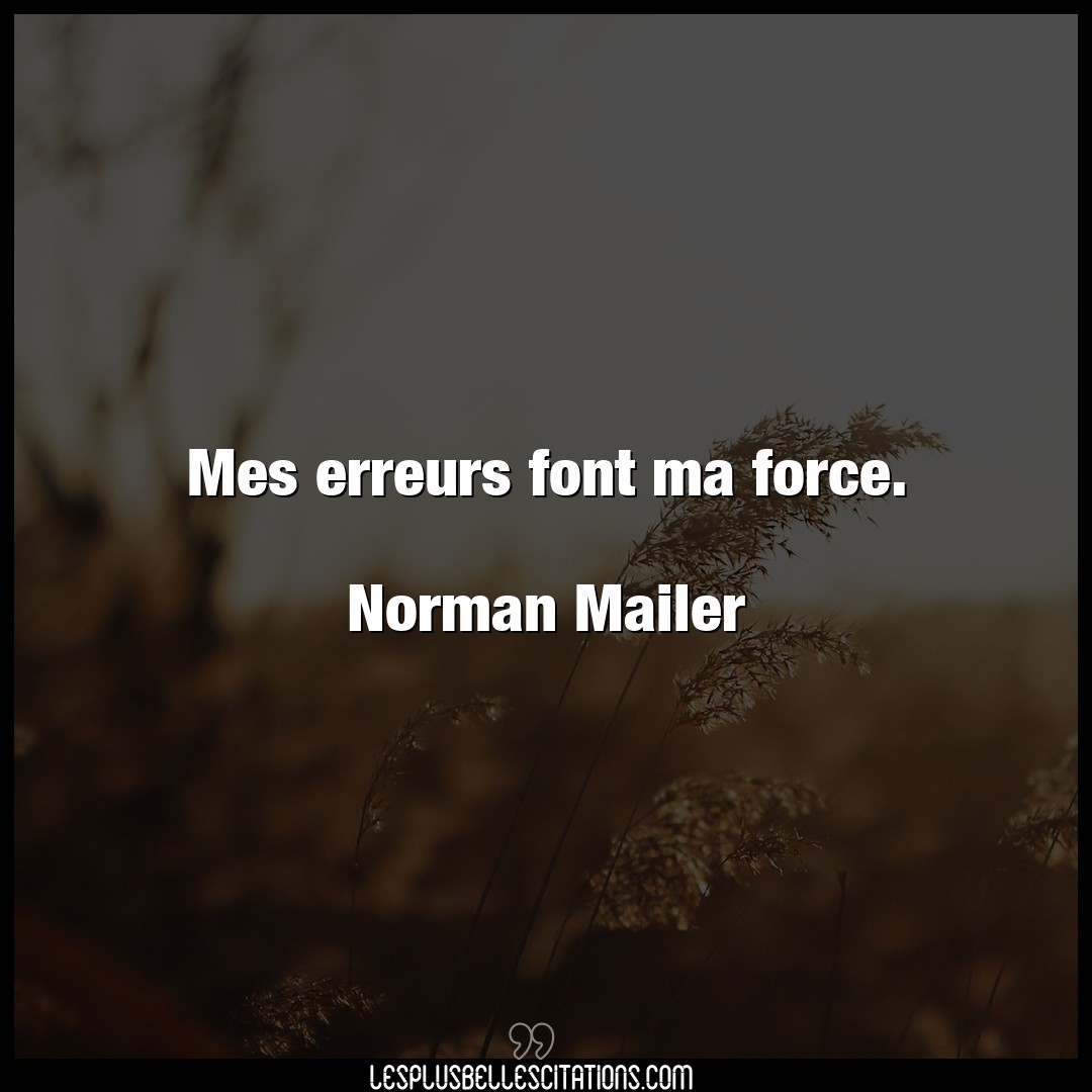 Mes erreurs font ma force.

Norman Mailer