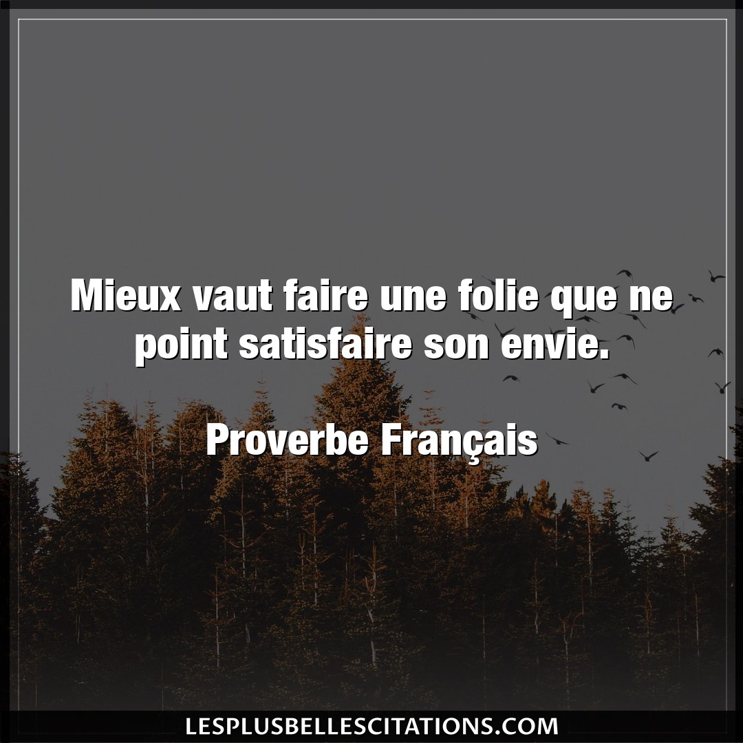 Citation Proverbe Francais Envie Mieux Vaut Faire Une Folie Que