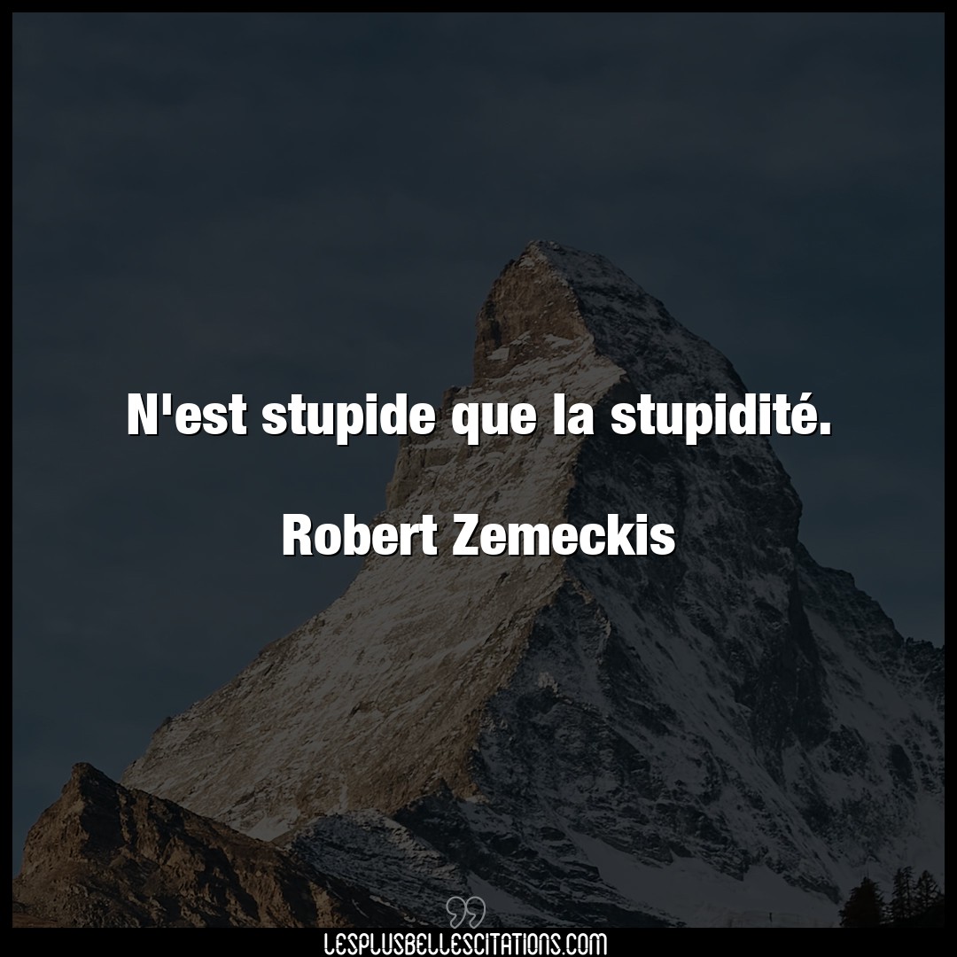 N’est stupide que la stupidité.

Robert Ze