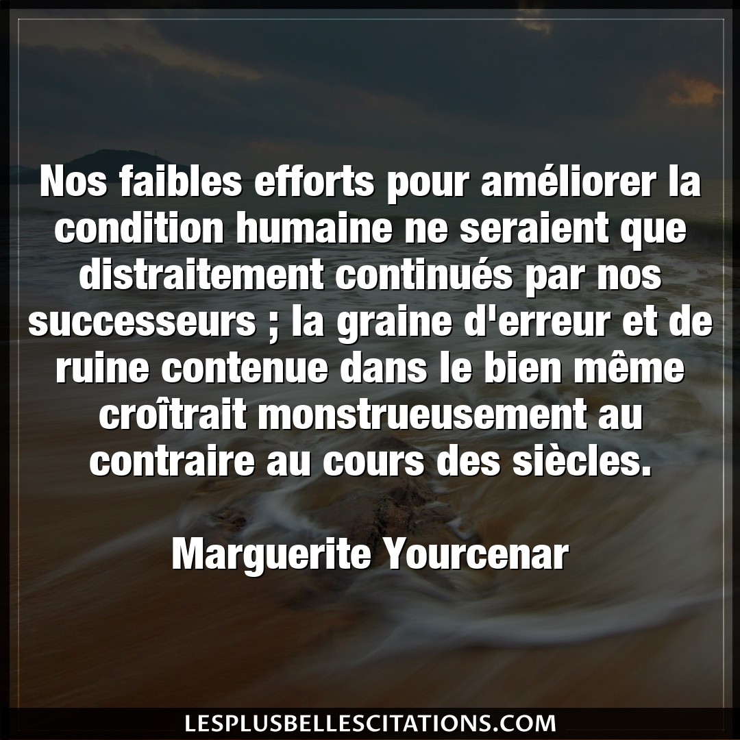 Citation Marguerite Yourcenar Bien Nos Faibles Efforts Pour Ameliorer La Condit