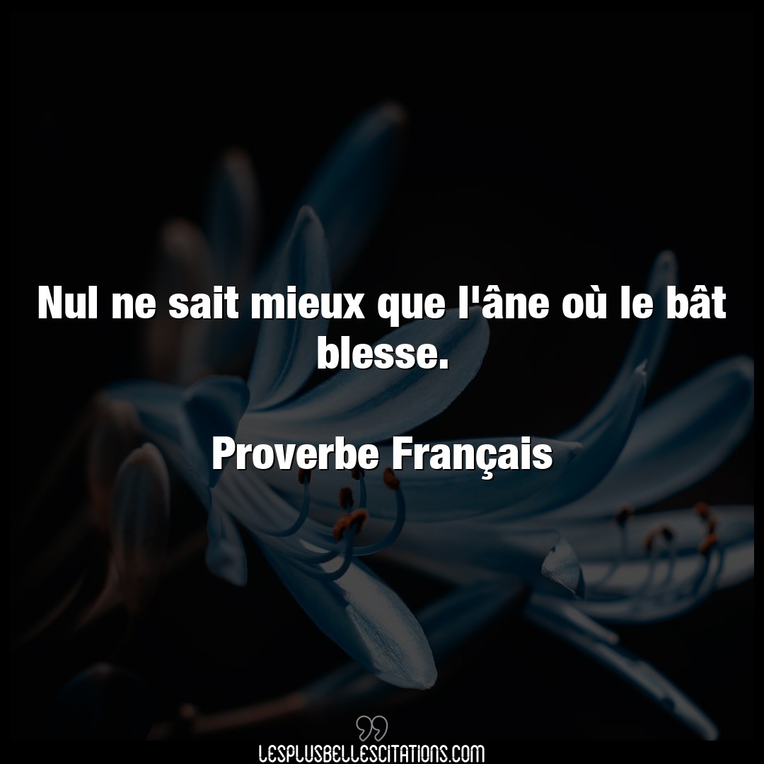 Citation Proverbe Francais Francais Nul Ne Sait Mieux Que L Ane O