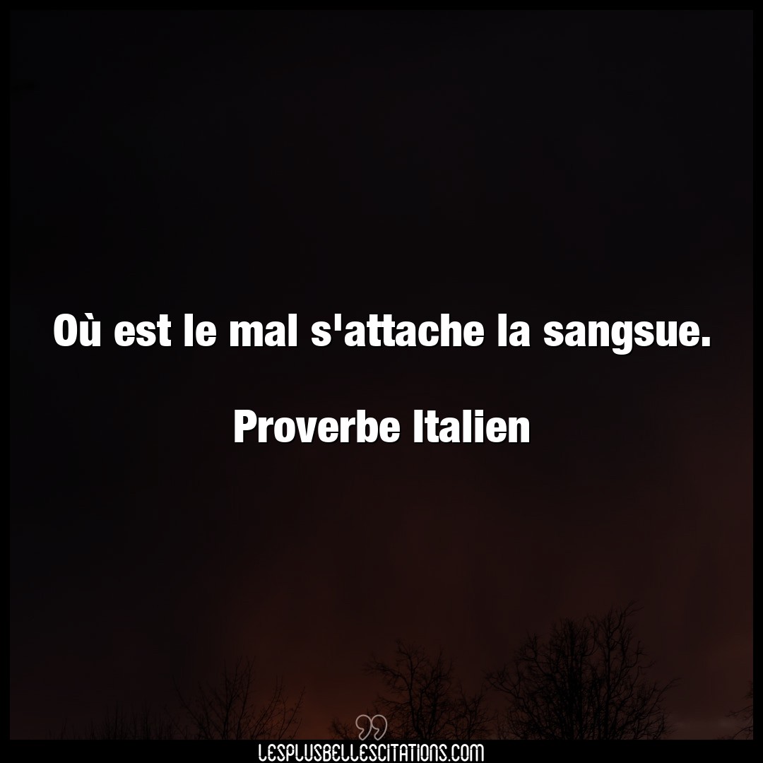 Citation Proverbe Italien Mal Ou Est Le Mal S Attache La Sa