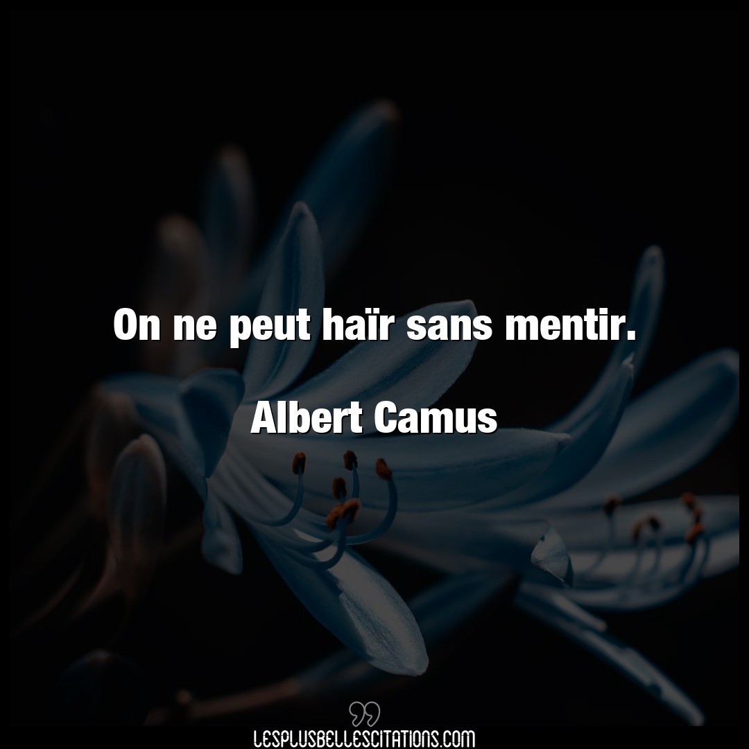 On ne peut haïr sans mentir.

Albert Camus