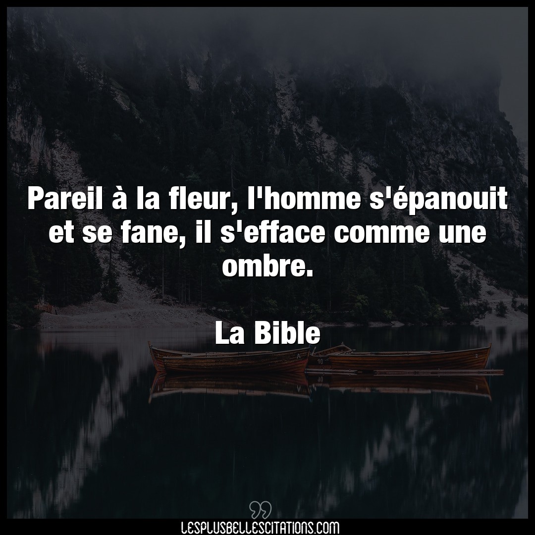 Citation La Bible Bible Pareil A La Fleur L Homme S Epanouit Et Se