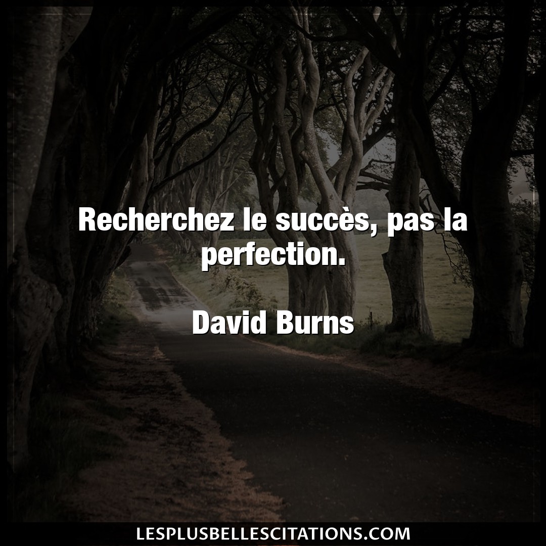 Citation David Burns Perfection Recherchez Le Succes Pas La Perfection