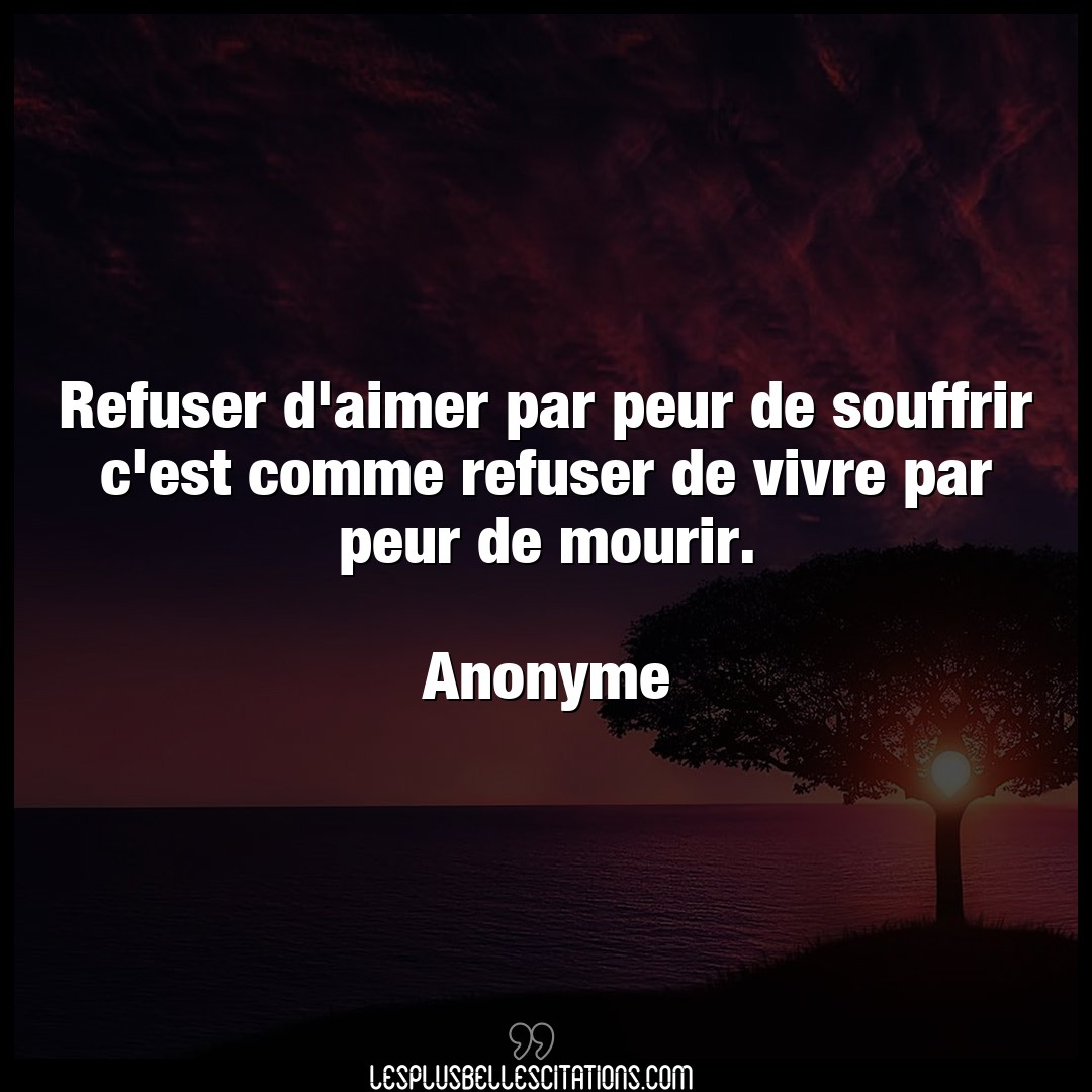 Citation Anonyme Aimer Refuser D Aimer Par Peur De Souffrir C Est Co