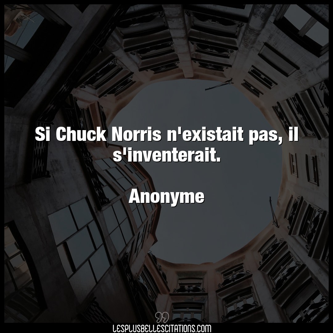 Si Chuck Norris n’existait pas, il s’inventer