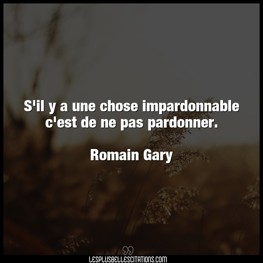 Citation Romain Gary Chose S Il Y A Une Chose Impardonnable C Est De Ne