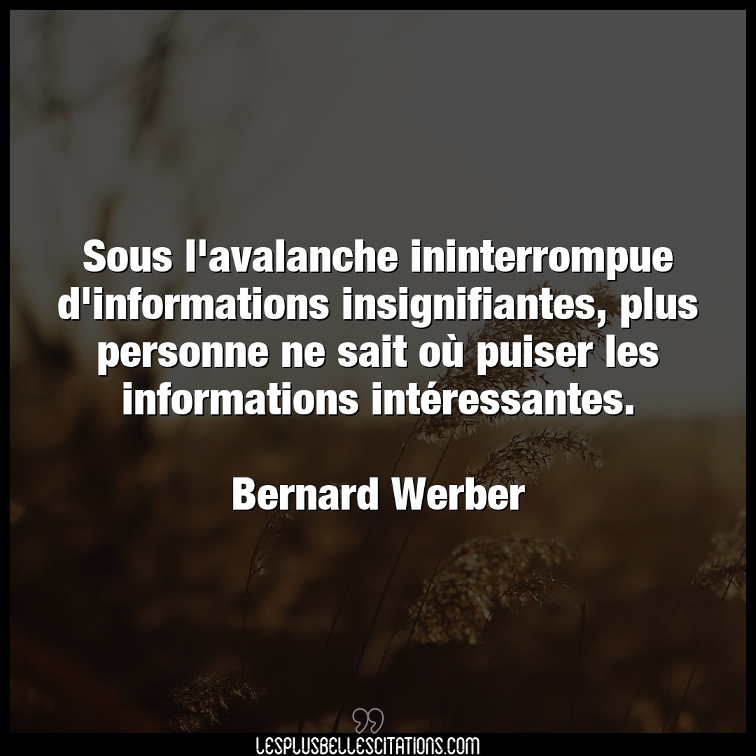 Citation Bernard Werber Personne Sous L Avalanche Ininterrompue D Informations