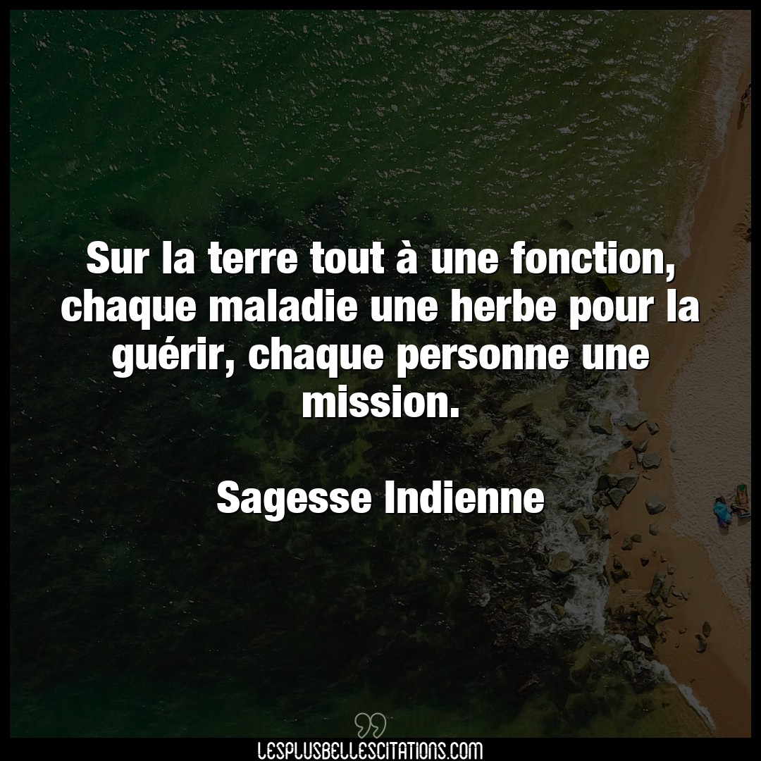 Citation Sagesse Indienne Chaque Sur La Terre Tout A Une Fonction Chaque Mal