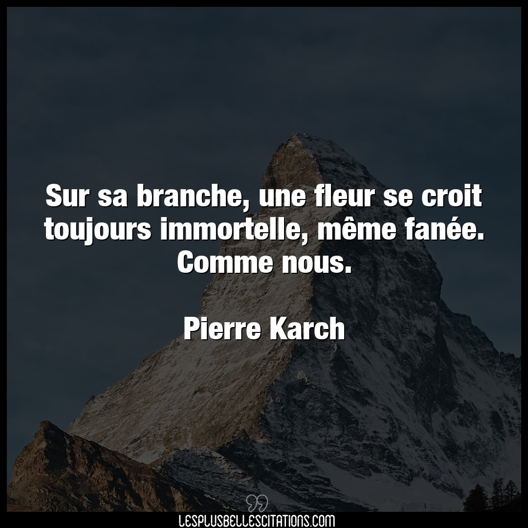 Citation Pierre Karch Fleur Sur Sa Branche Une Fleur Se Croit Toujours I