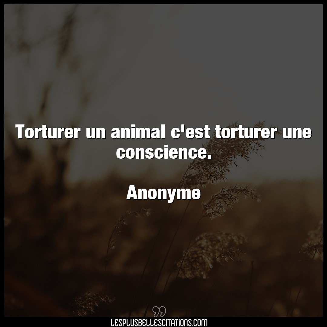 Torturer un animal c’est torturer une conscie