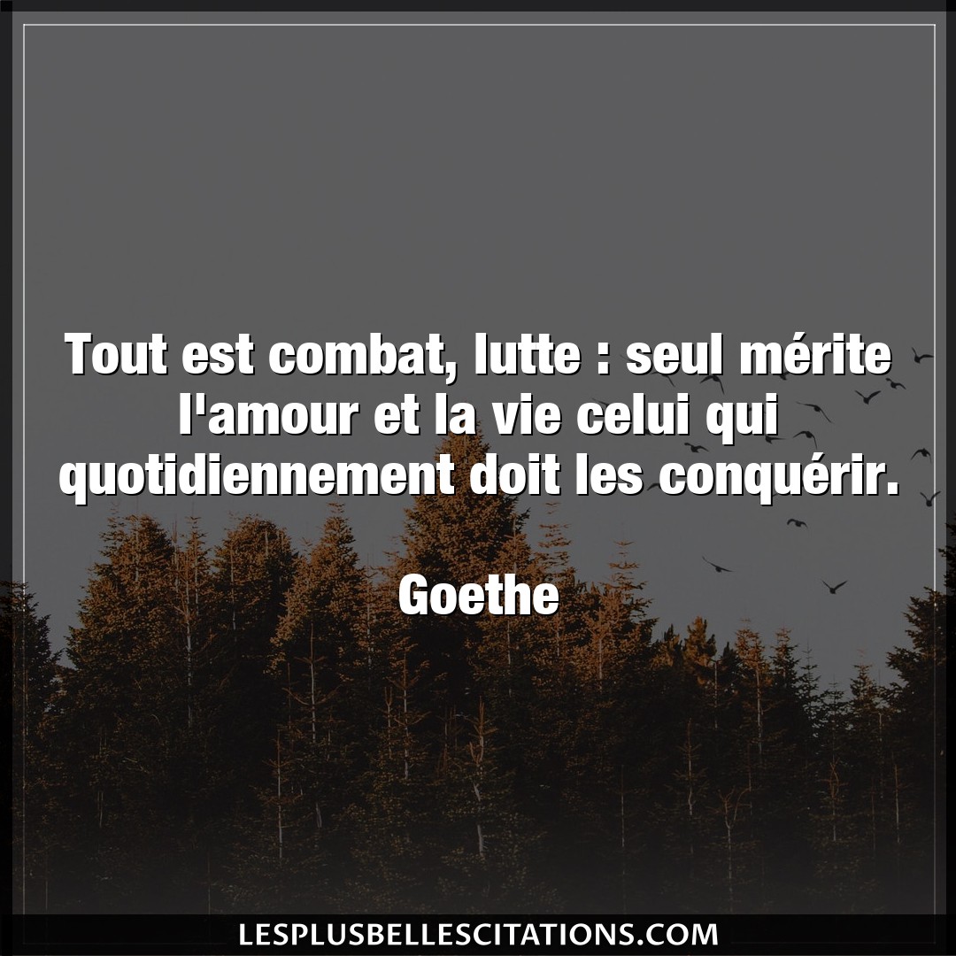 Citation Goethe Amour Tout Est Combat Lutte Seul Merite L Amour