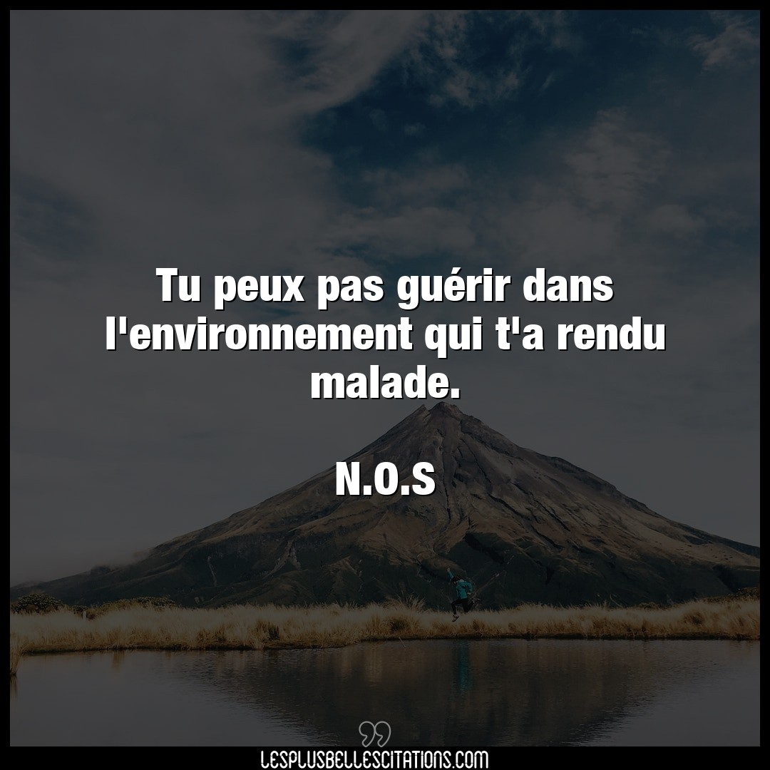 Citation N O S Environnement Tu Peux Pas Guerir Dans L Environnement Qui