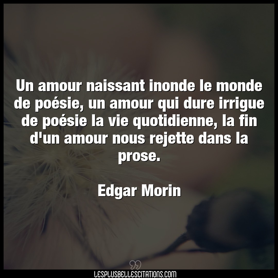 Citation Edgar Morin Amour Un Amour Naissant Inonde Le Monde De Poesie