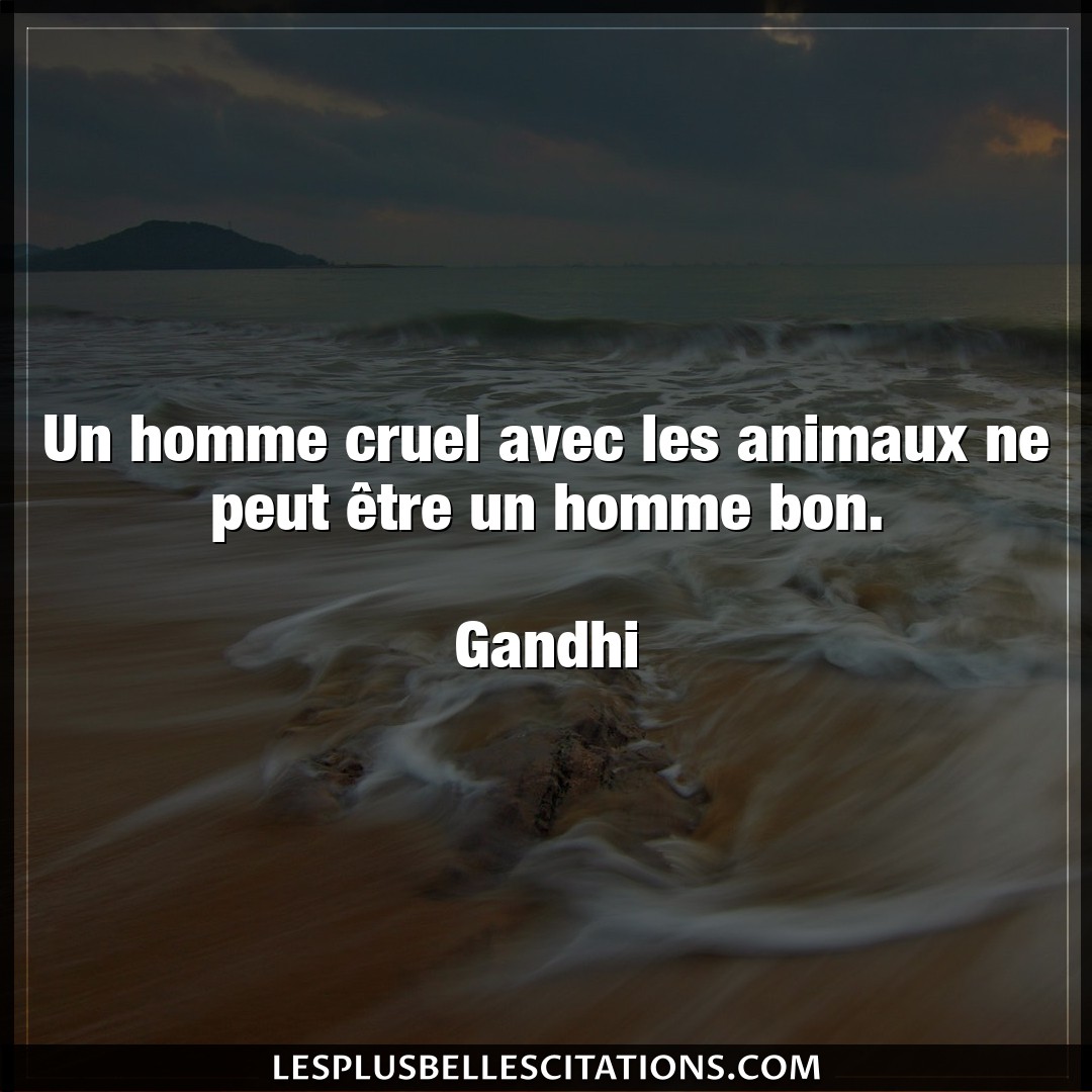 Citation Gandhi Animaux Un Homme Cruel Avec Les Animaux Ne Peut Etre