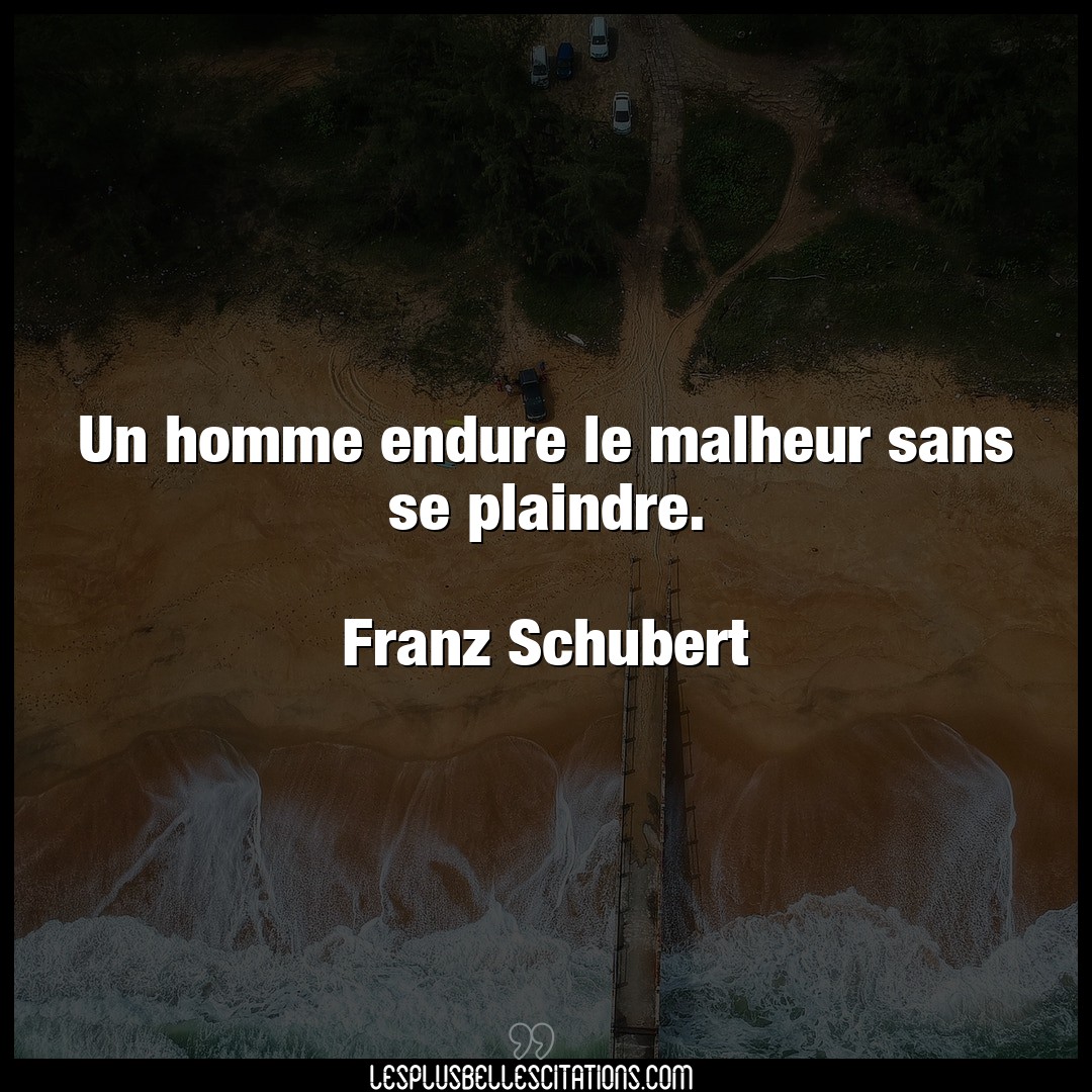 Citation Franz Schubert Homme Un Homme Endure Le Malheur Sans Se Plaindre