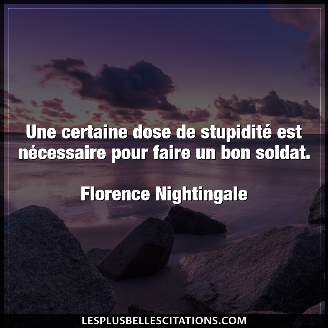 Citation Florence Nightingale Bon Une Certaine Dose De Stupidite Est Necessai