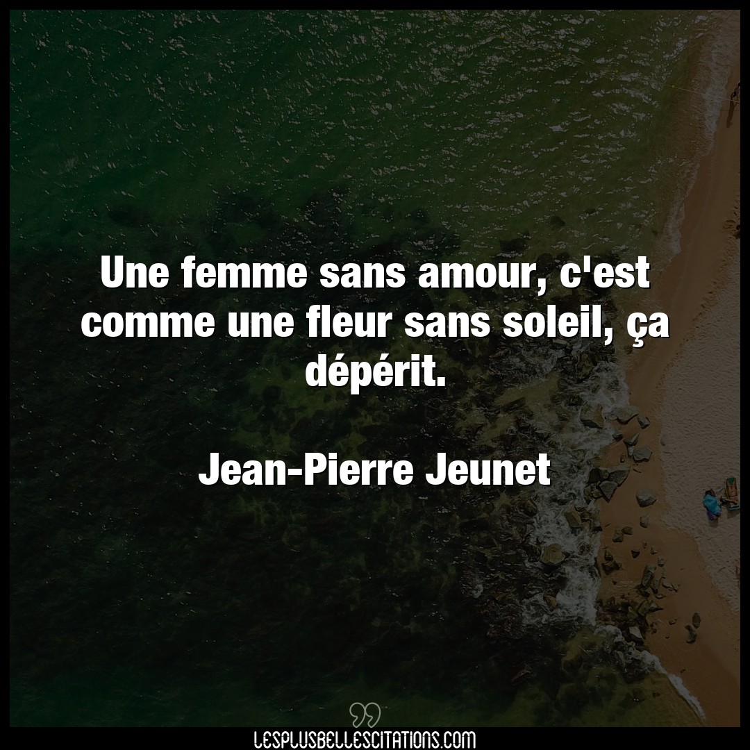 Citation Jean Pierre Jeunet Amour Une Femme Sans Amour C Est Comme Une Fleur S