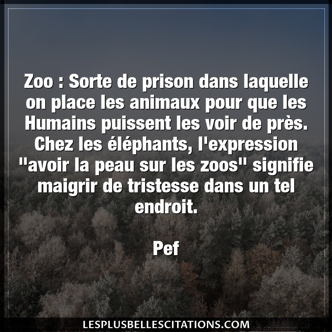 Zoo : Sorte de prison dans laquelle on place