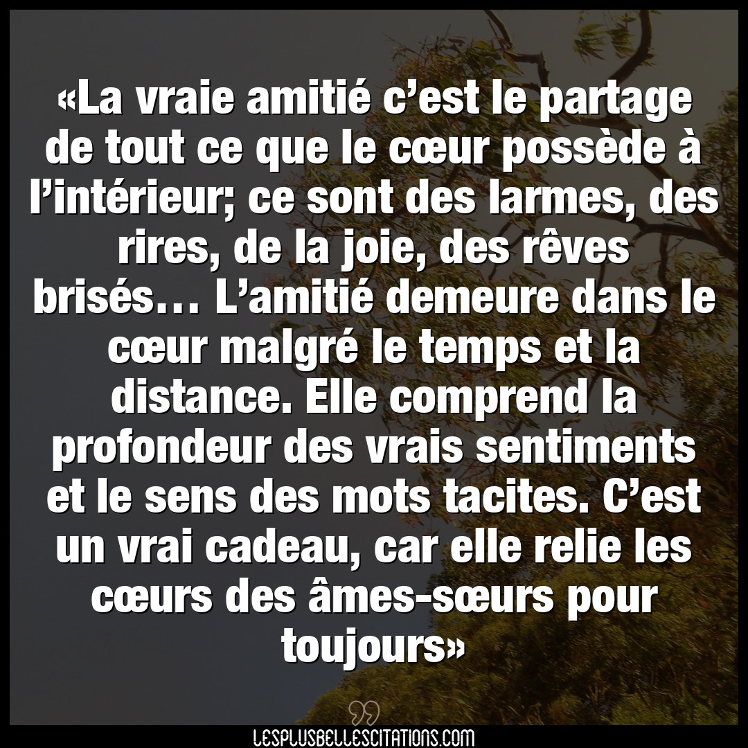 Citation Anonyme Cadeau La Vraie Amitie C Est Le Partage De Tout Ce Que Le Cœur Possede A L Interieur