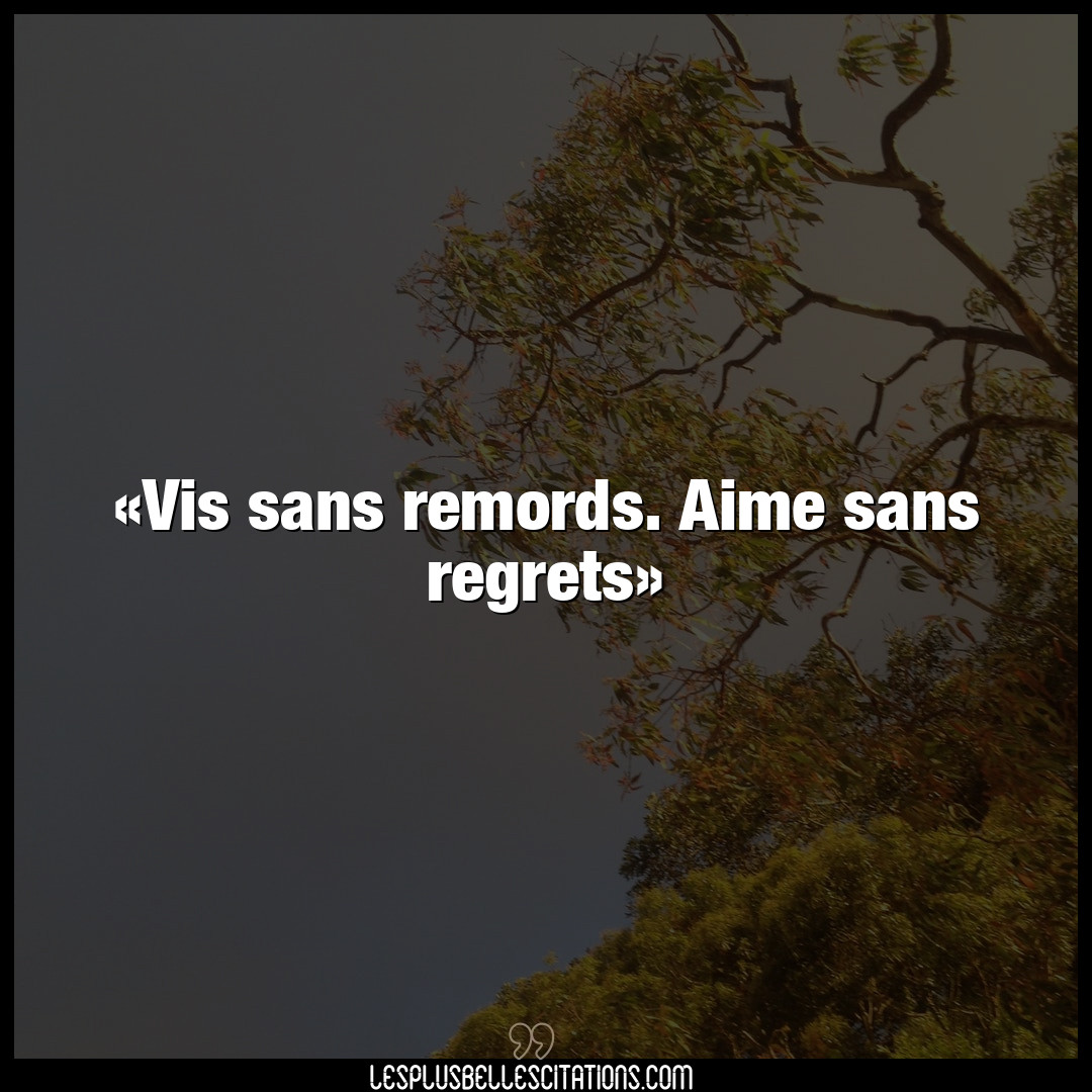 Citation Anonyme Aime Vis Sans Remords Aime Sans Regrets